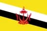 Brunei flag