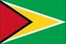 Guyana flag