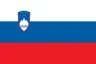 Slovenia flag