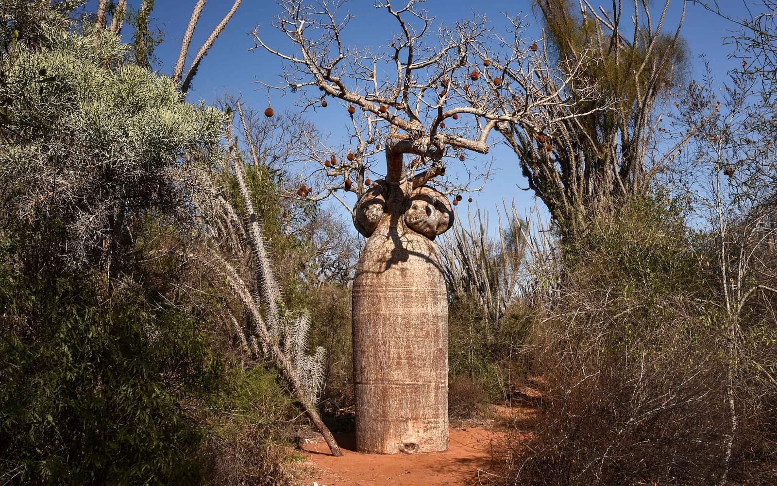 Madagascar travel destination — Madagascar travel guide
