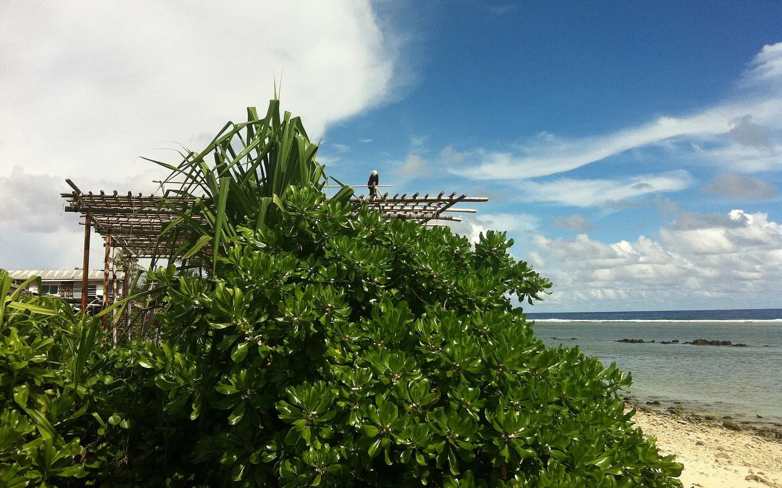 Nauru travel destination — Nauru travel guide