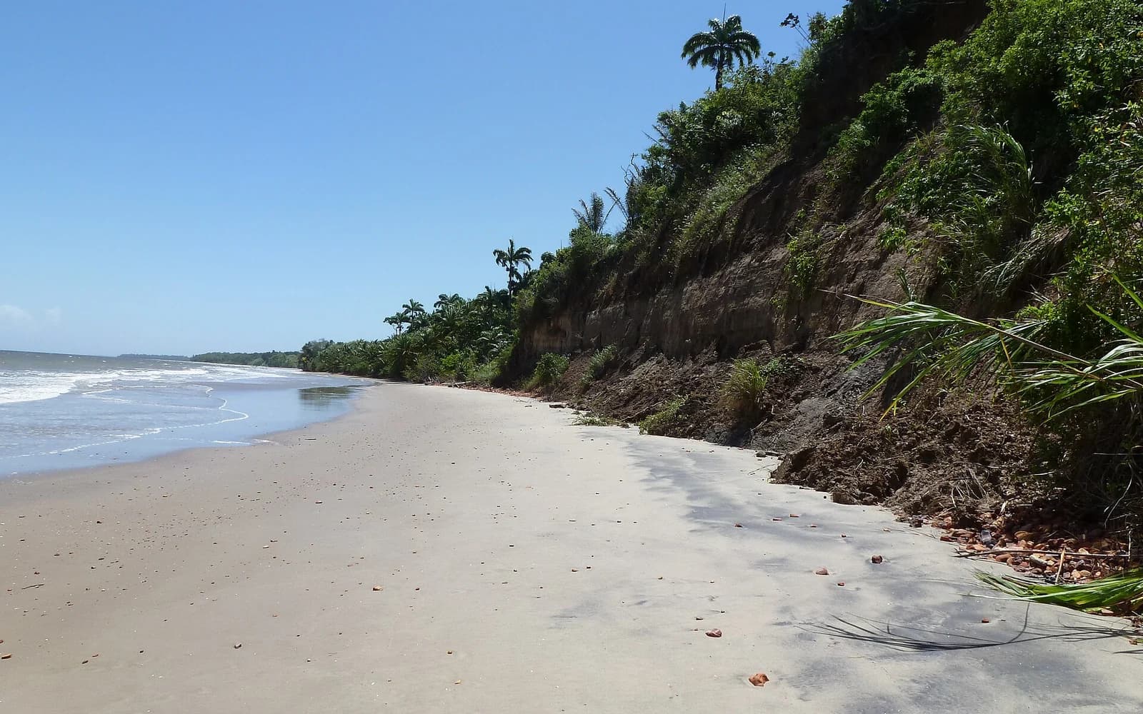 Trinidad and Tobago travel destination — Trinidad and Tobago travel guide
