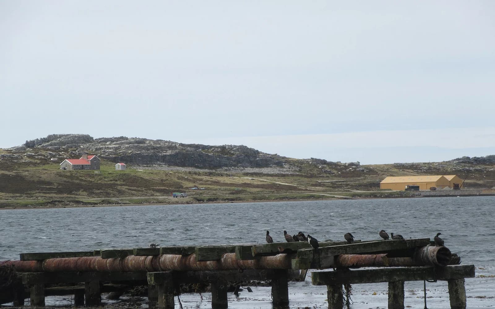 Falkland Islands travel destination — Falkland Islands travel guide