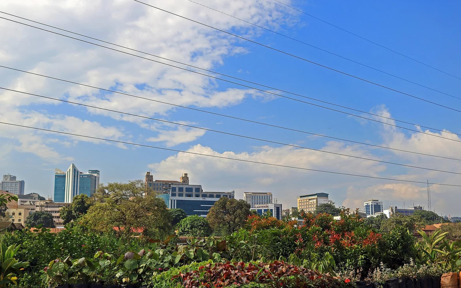Uganda travel destination — Uganda travel guide